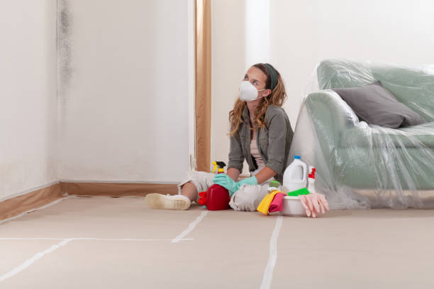 Reliable Mold Remediation contractor in Laurel, FL by WQB Mold Removal